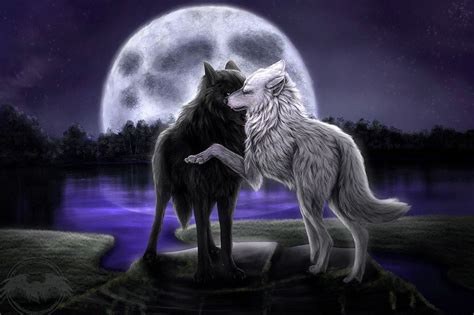 <b>Love Wolf Wallpapers</b>. . Love wolf ae